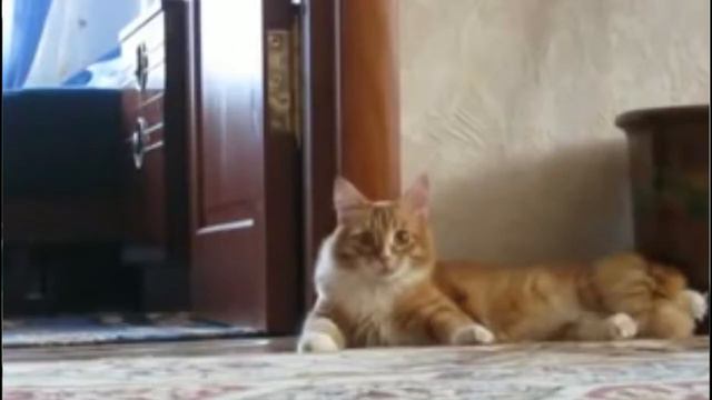 Встала и ушла отсюда смотреть онлайн