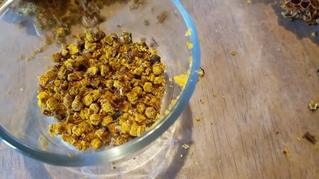 Что такое перга и как ее собирают