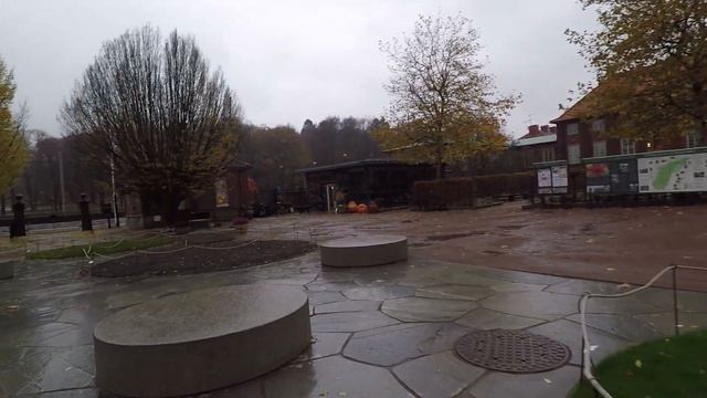 Обзор Гётеборга Швеция. Посещение Ботанического сада. смотреть онлайн