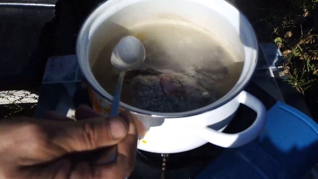 ДАЧА?УХА ИЗ ФОРЕЛИ?? смотреть онлайн