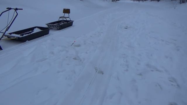 Зимняя рыбалка. Трофейчик пойман. ХЕ из хариуса. Часть 2. смотреть онлайн