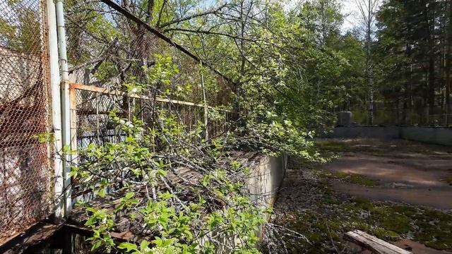 [4K] Заброшки в Тихменево, Кузнецкий район (1.05.2023) смотреть онлайн