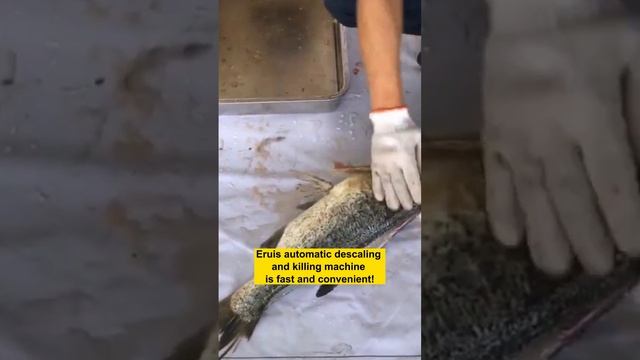 Eruis Automatic Fish- killing Machine Makes Killing Fish Easy смотреть онлайн