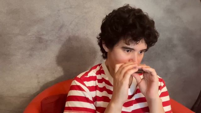Säkkijärven Polkka on Harmonica смотреть онлайн