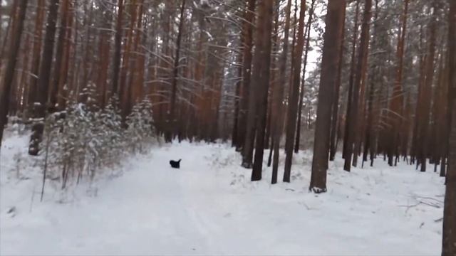 Самое загадочное и таинственное место на карте, урочище "пристань у Гомана", первая часть смотреть онлайн