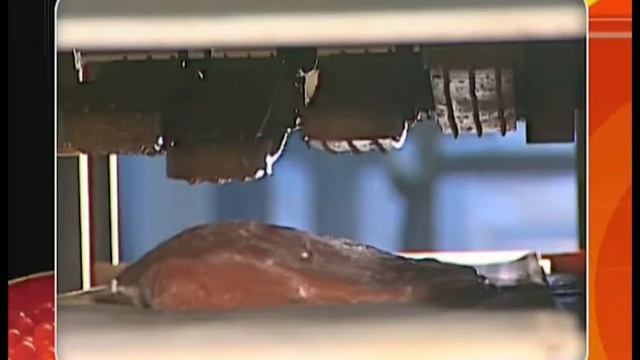 Презентация Северная компания смотреть онлайн