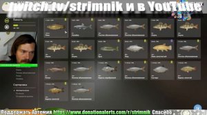 оз. Комариное / Поймал ЛИНЬ на Донную снасть 👀 Новичок в игре Русская Рыбалка 4 / Russian Fishing 4