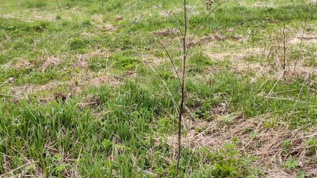 Выбор металлоискателя. Снаряжение для копа. Поиск мест для копа. Практический коп монет 2022!✅