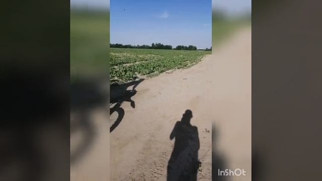 Эндуро мото покатушки на х250 смотреть онлайн