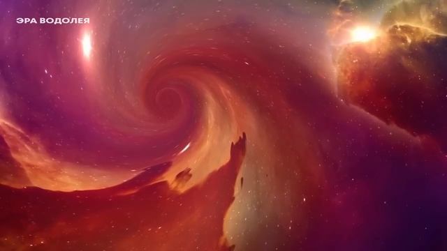 Мы никогда не были в подобной ситуации смотреть онлайн