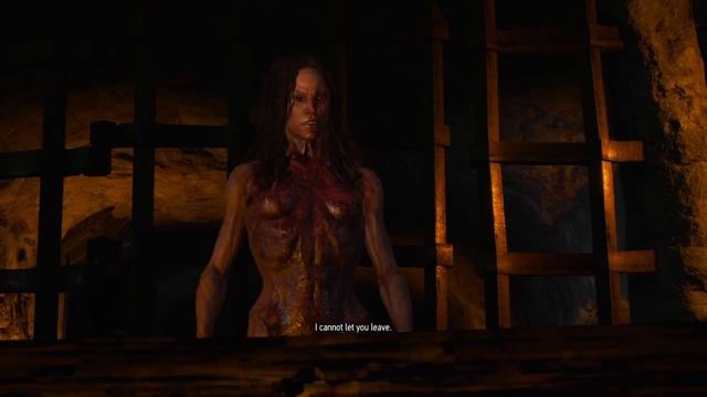 The Witcher 3: Bruxa Vampire Fight смотреть онлайн