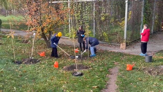 озеленение зоопарка продолжается! Высадили 25 рябин! ?#ростовскийзоопарк #zoo смотреть онлайн