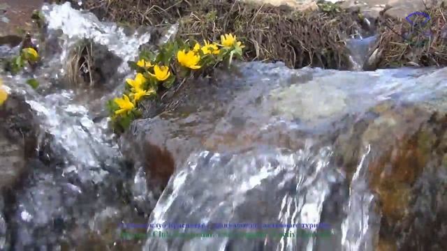 Лучшая природа юга России смотреть онлайн