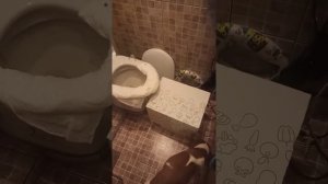 Попытка научить собаку пользоваться унитазом, эстонская гончая Шанель, щенок