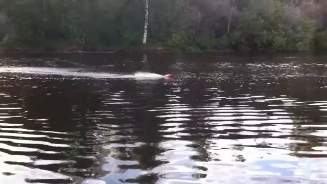 СВЕРХБЫСТРАЯ РАДИОУПРАВЛЯЕМАЯ ЛОДКА. РЕКА ГЛУХАРКА, СПБ. смотреть онлайн