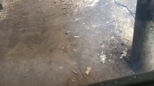 Решение проблемы по системе топлива на КАМАЗЕ ! Подарок от подписчика . смотреть онлайн