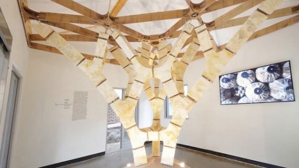 10 Eco-Friendly Building Materials | Sustainable Design