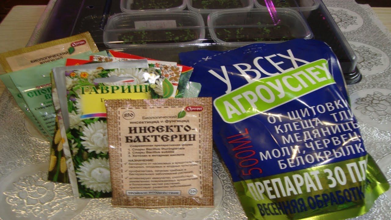 ПОКУПКИ ДЛЯ САДА СЕЗОН 2020 Г смотреть онлайн