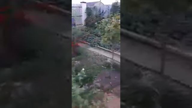 Красивый двор(1)