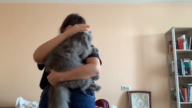 Vlog/Еду домой/Еду одна на автобусе? смотреть онлайн