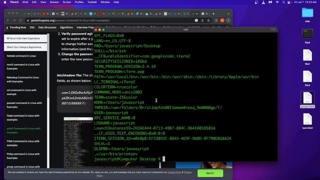 Bash Commands - printenv command смотреть онлайн