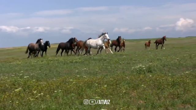 Иш юриштирувчи Дуо! Иш Йӯллари Доим Очиқ Бӯлишини Истасангиз Тингланг!
