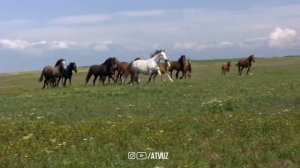 Иш юриштирувчи Дуо! Иш Йӯллари Доим Очиқ Бӯлишини Истасангиз Тингланг!