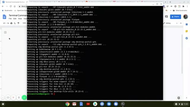 Installing RawTherapee On A Chromebook