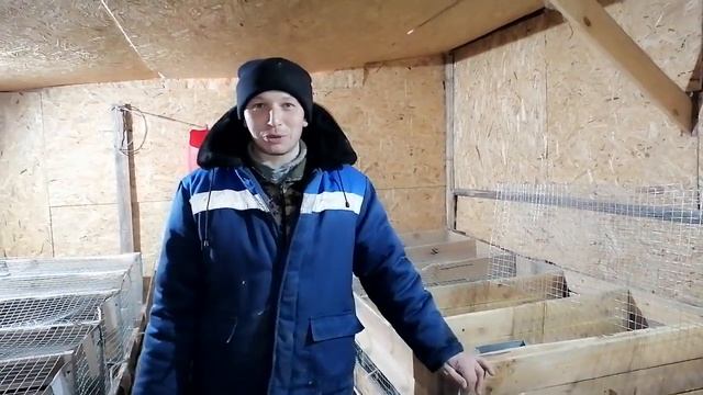 ПРОДАЛИ 2 ПОРОСЁНКА ДЮРОК ВОЗРОСТОМ 7,5 месяца УГОДАЙТЕ ВЕС. смотреть онлайн