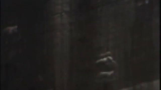 компашка резвится в малышевском яхтклубе смотреть онлайн