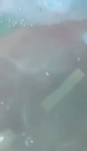 Сделали мыло - Бомбочка для ванны! #shorts