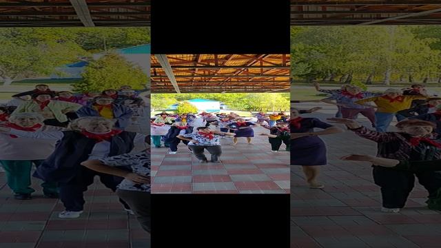 Ветераны педагогического труда Саратовской области на физзарядки под музыку смотреть онлайн