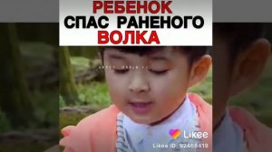 Дорама "Принц волков