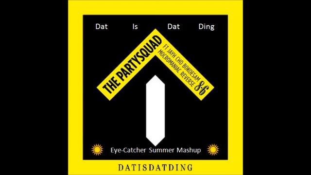 Dat Is Dat Ding (Eye-Catcher Summer Mashup) - The Partysquad смотреть онлайн