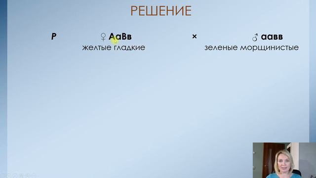 Дигибридное скрещивание. Биология 10 класс. смотреть онлайн
