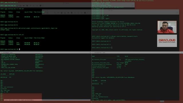 Oracle GoldenGate data replication смотреть онлайн