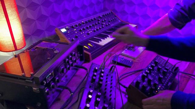 Moog sub 37, Roland Space Echo & Op-1 Live Jam - I remember смотреть онлайн