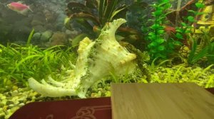 Читаем книги:  Теодор Драйзер «Дженни Герхардт»/глава 4-6/06.11.23 15:05