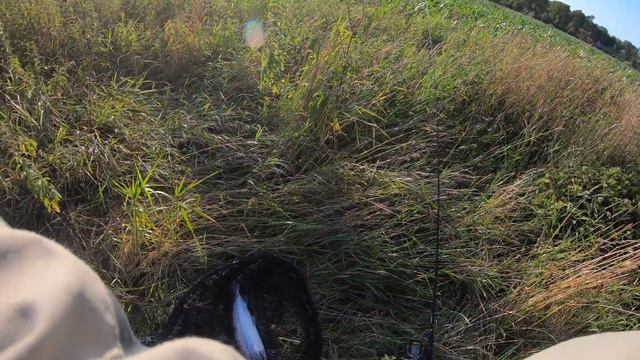 Havørred 55 og 2050 kg lilleå смотреть онлайн