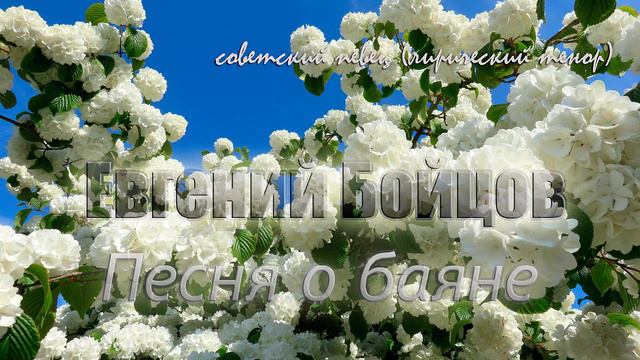 Евгений Бойцов - Песня о баяне смотреть онлайн