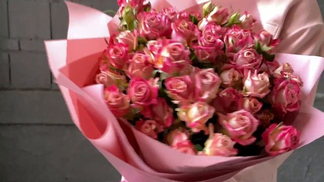 11 кустовых роз Bala смотреть онлайн