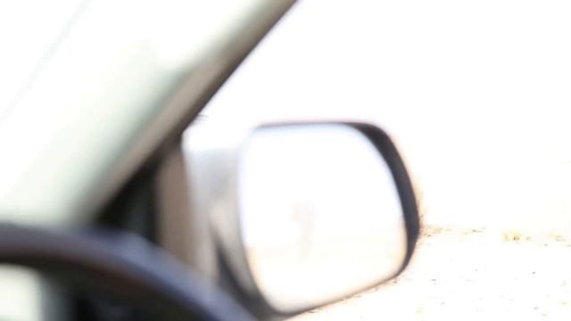 Бегущий Страус смотреть онлайн