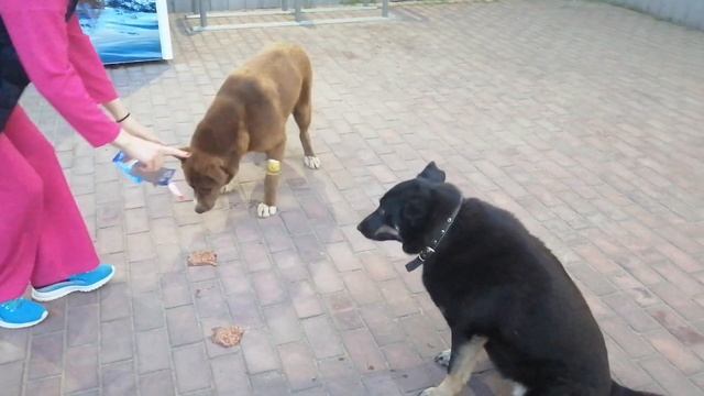 Как тренировать выдержку смотреть онлайн