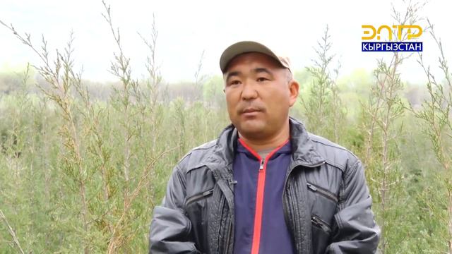 Элет баяны // Өзгөн токой чарбасы смотреть онлайн