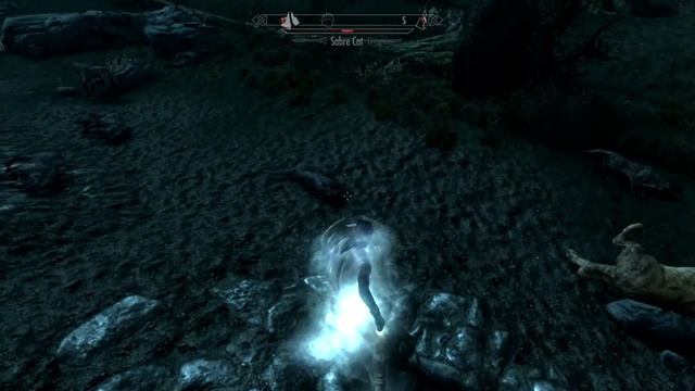 Skyrim SE My Custom Shield Test смотреть онлайн