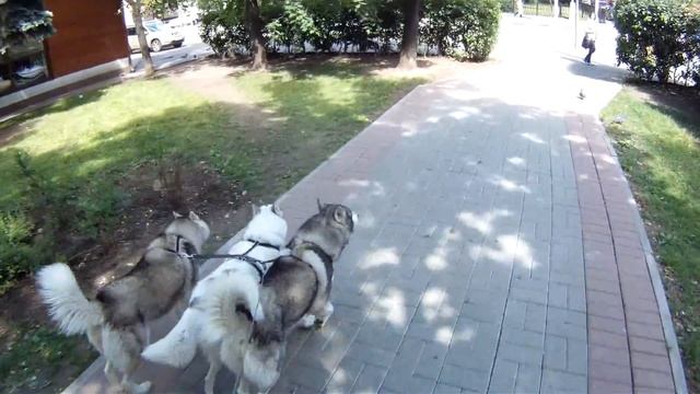 140626 Измайловский бульвар смотреть онлайн