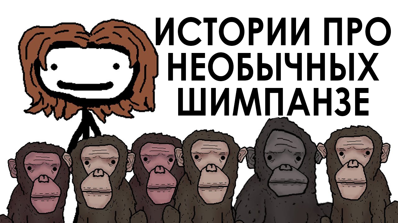 Истории про необычных шимпанзе - Академия Сэма Онеллы (Озвучка Rumble)