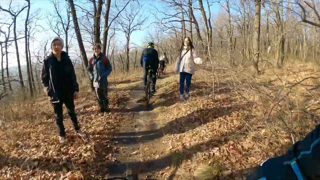 Easy-peasy, Lemon Squeezy или Кумысочный лайток 11 ноября 2023г.