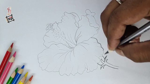 How to draw a China Rose easy/Hibiscus flower drawing step by step for beginners смотреть онлайн