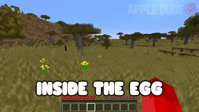 Choose the best NEW TNT BLOCK ALL EPISODE Minecraft Animation ! TNT MINECRAFT COMPILATION смотреть онлайн